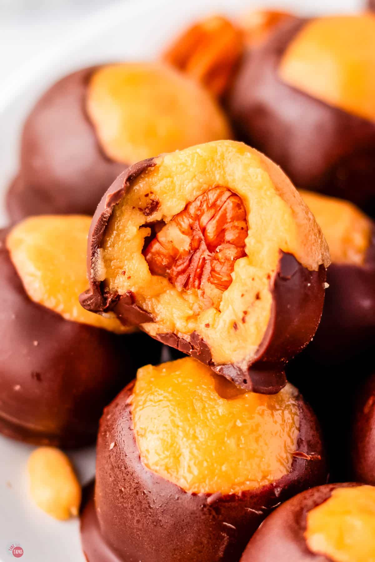 close up of buckeye with a bite removed and a pecan showing inside