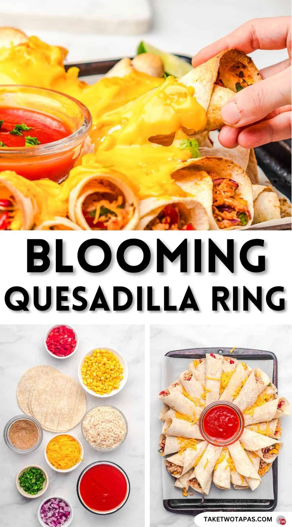 Pinterest pin image for blooming quesadilla ring recipe