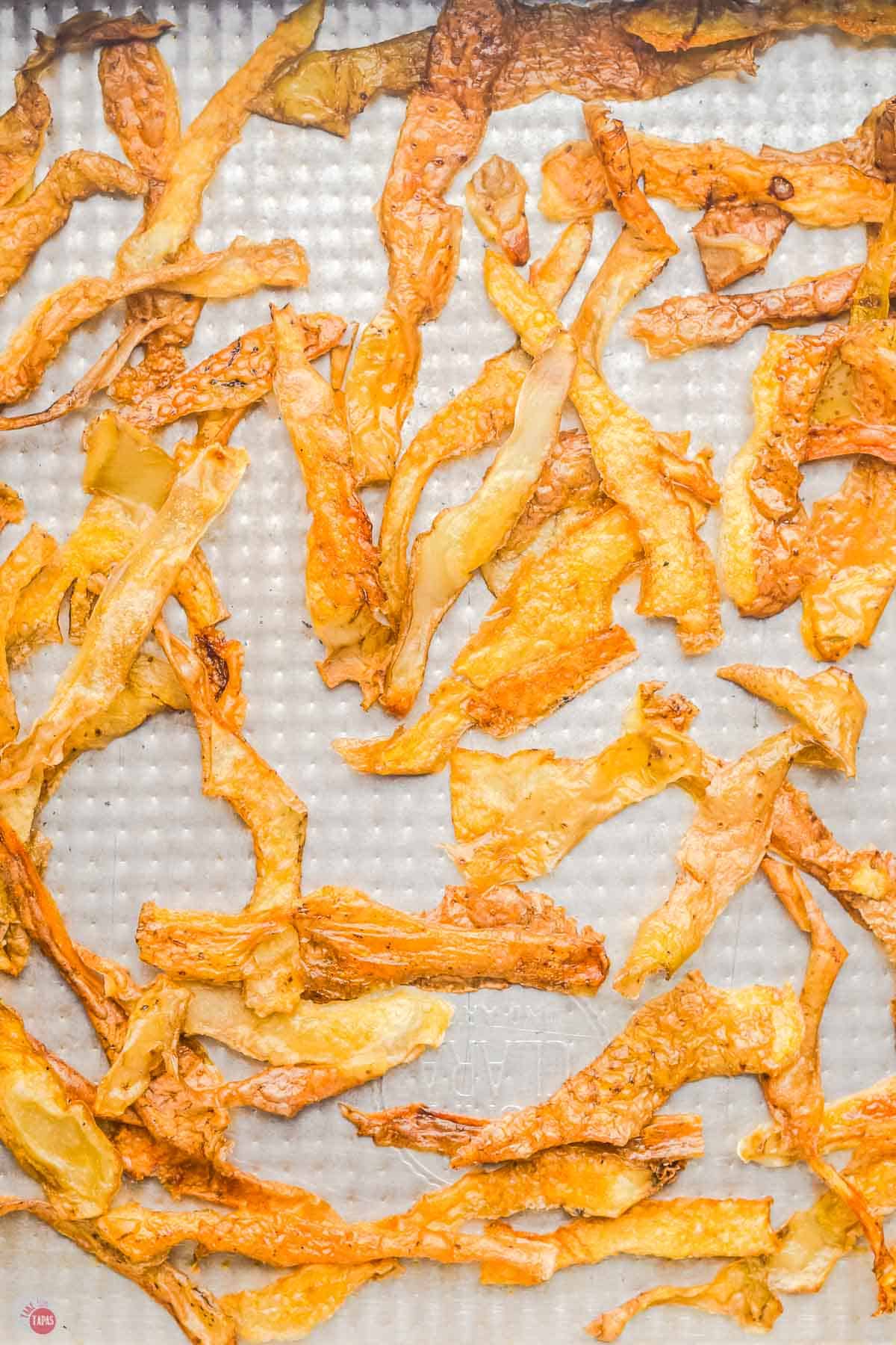 close up of baked potato skin chips