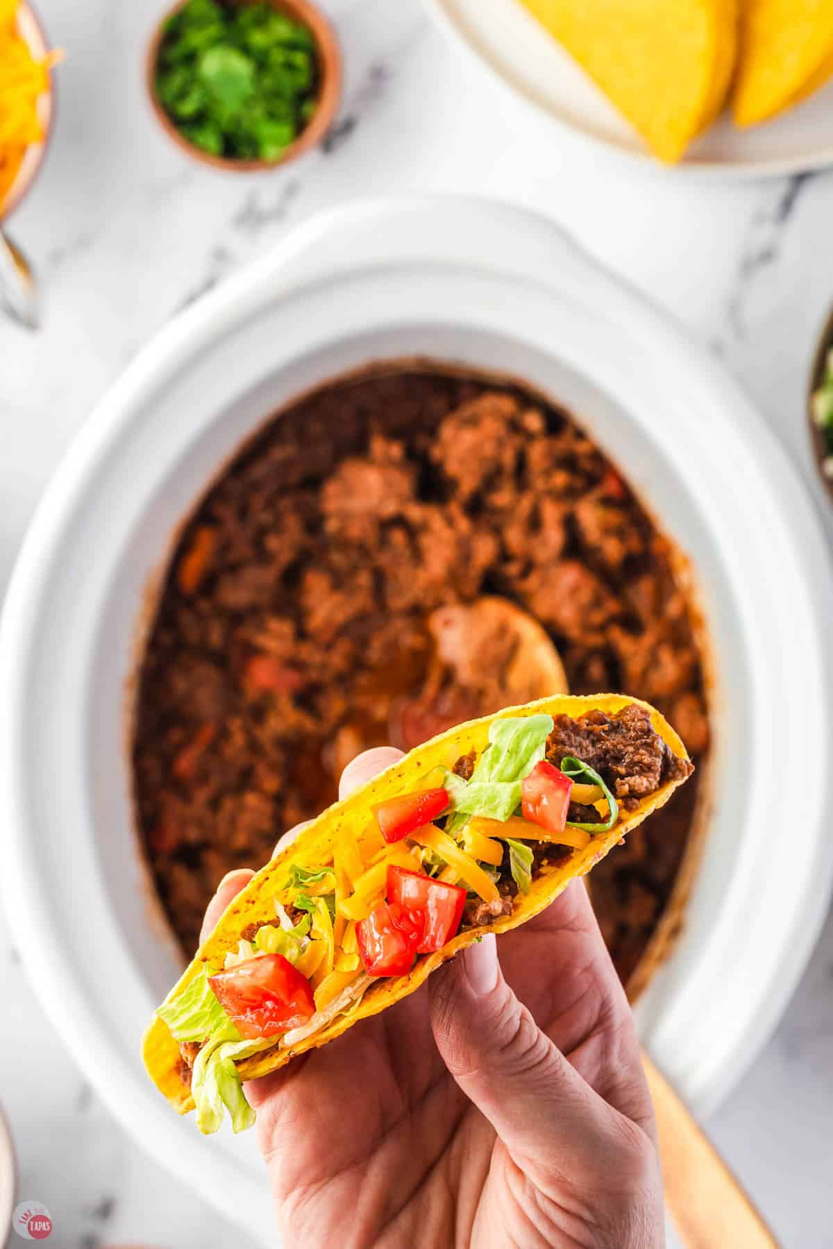 hand holding a taco