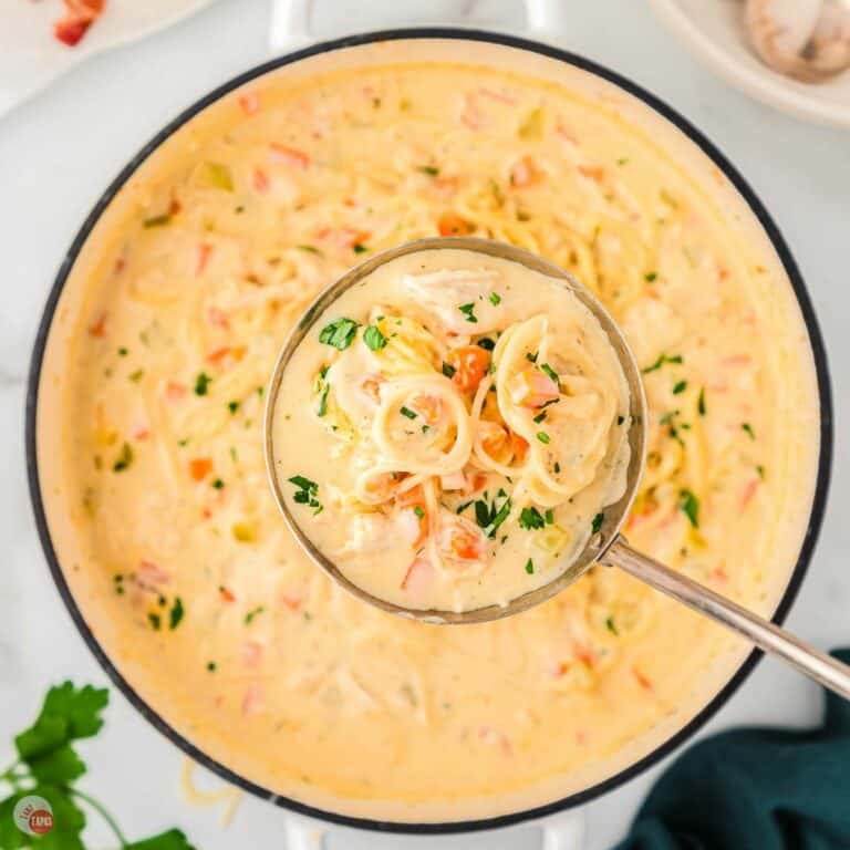 pot of crack chicken noodle soup with ladle