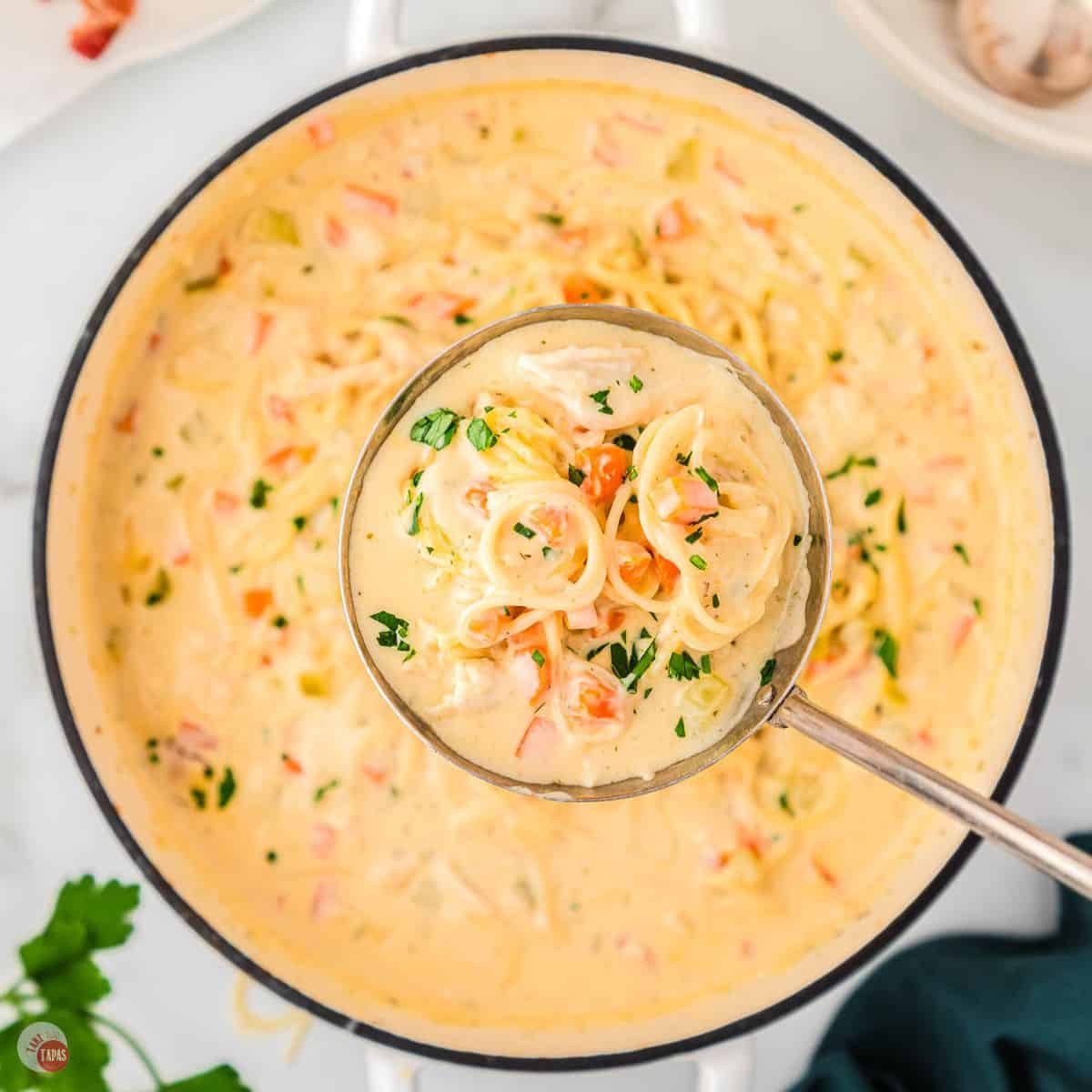 pot of crack chicken noodle soup with ladle