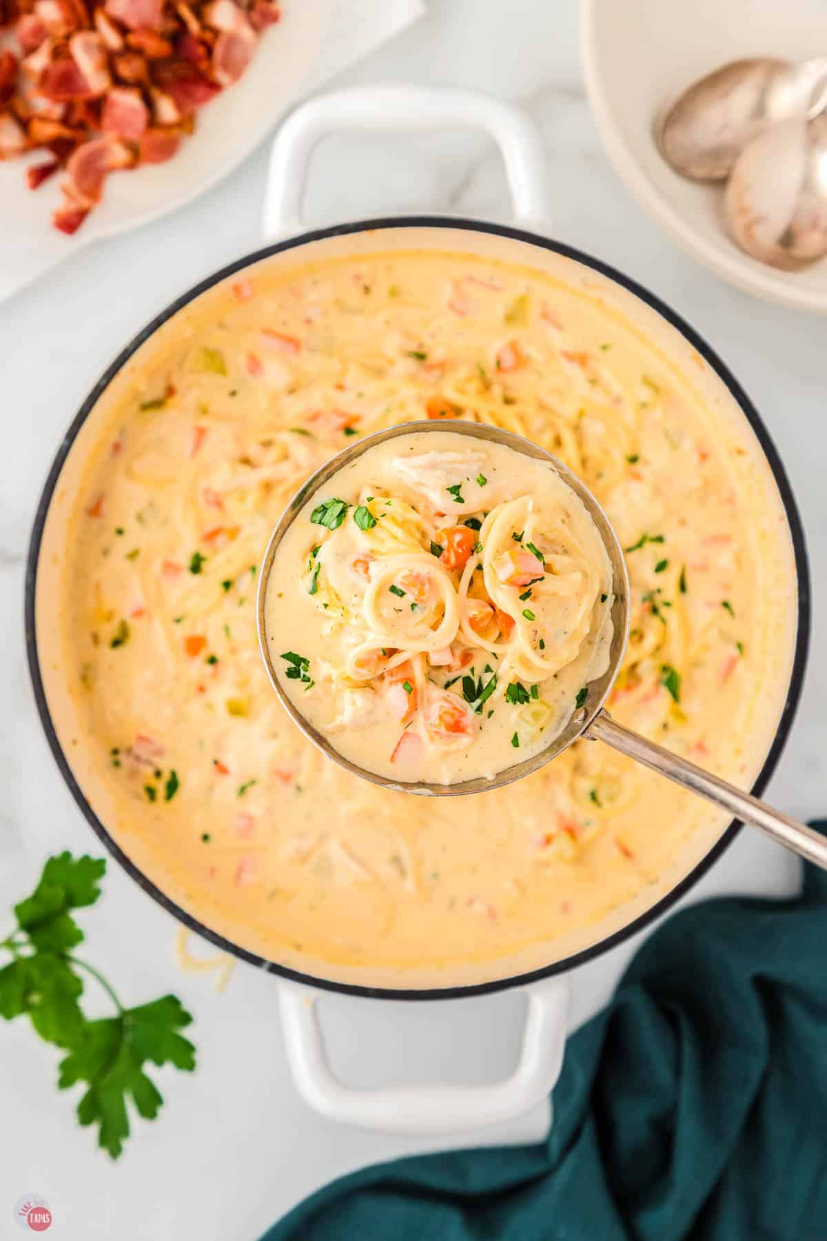 pot of chicken noodle soup with a ladle in it