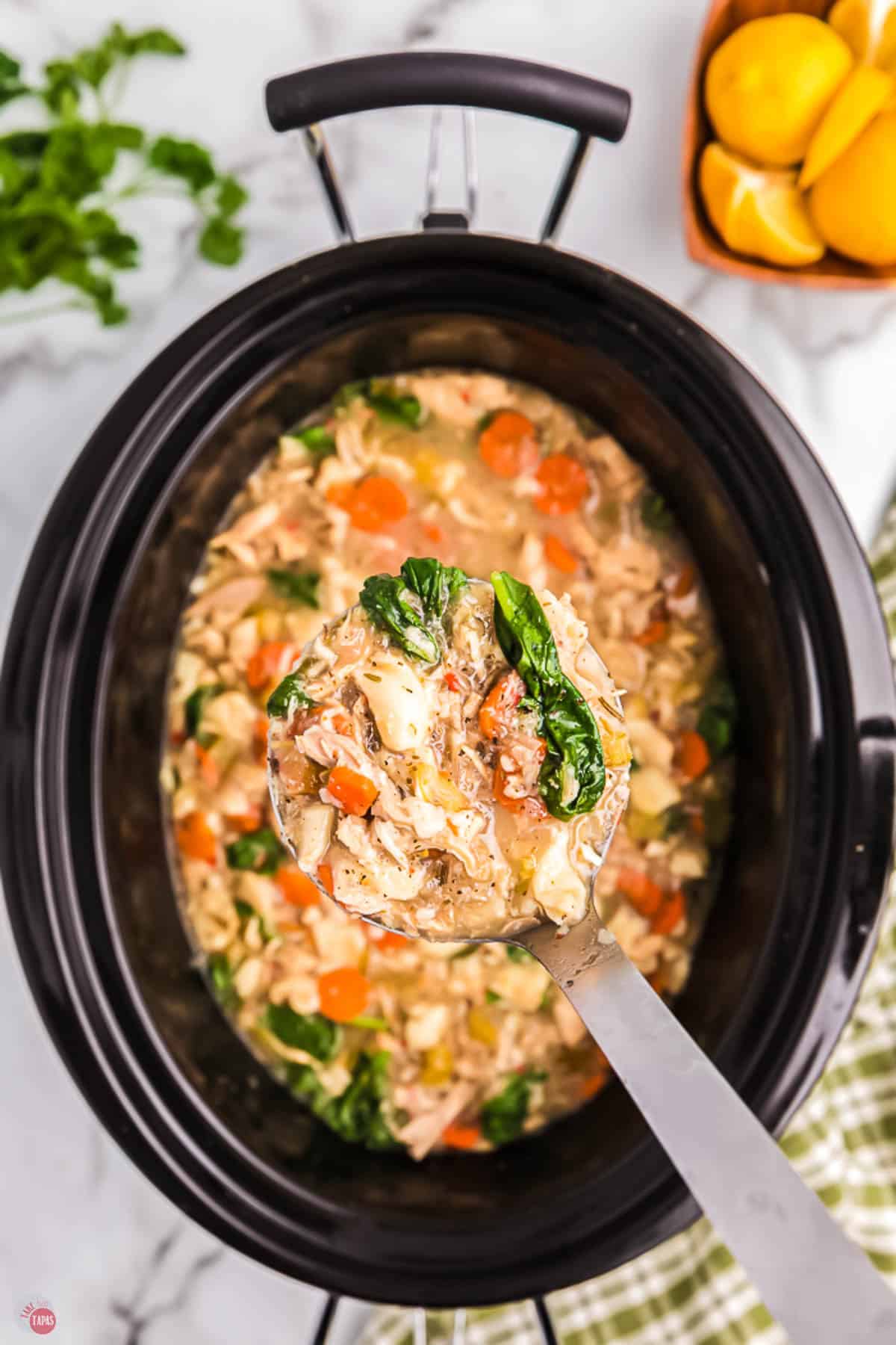 crockpot chicken soup with a ladle in it