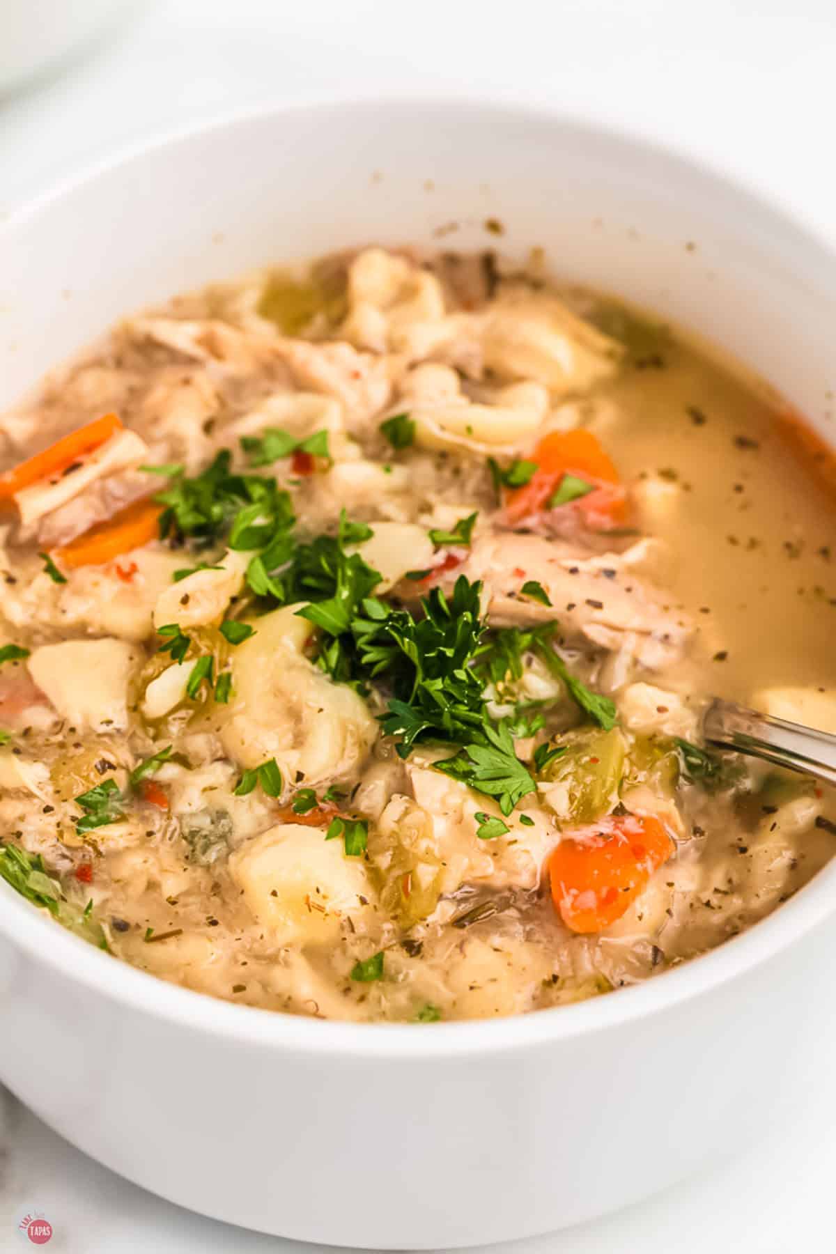 close up of chicken soup in a bowl