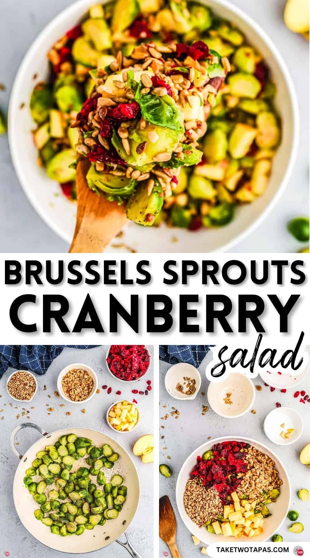 Pinterest pin image for Brussels sprouts cranberry salad recipe