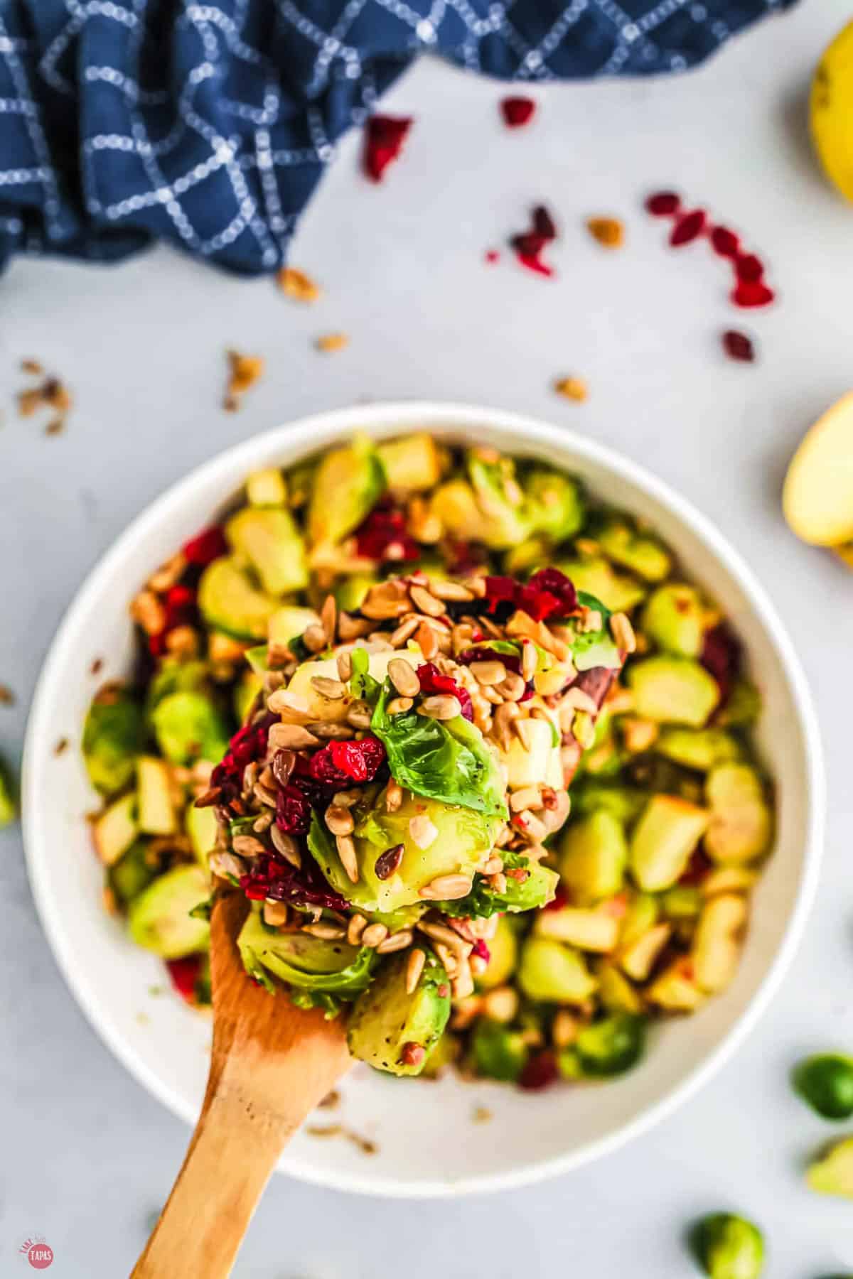 wood spoon of sprouts salad