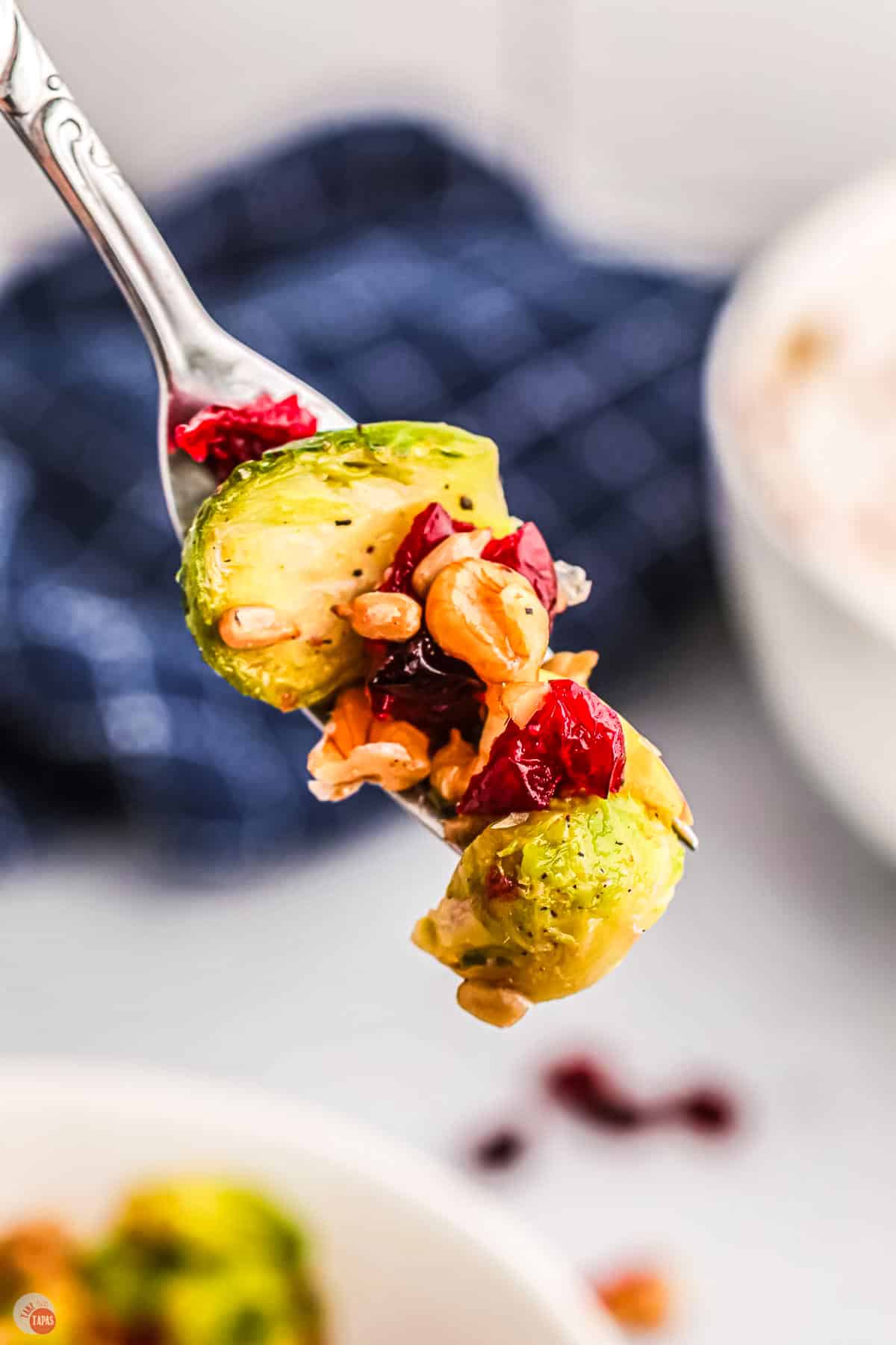 fork with bite of sprouts and cranberries