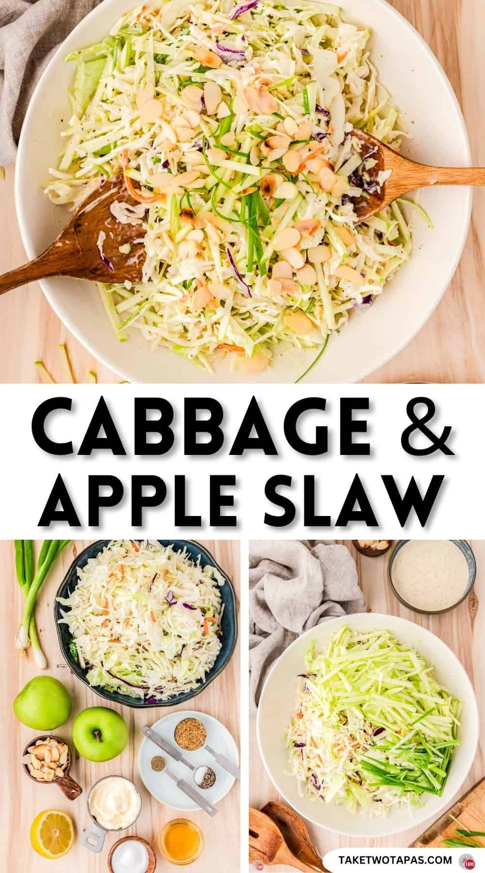 Pinterest pin image for cabbage and apple slaw recipe