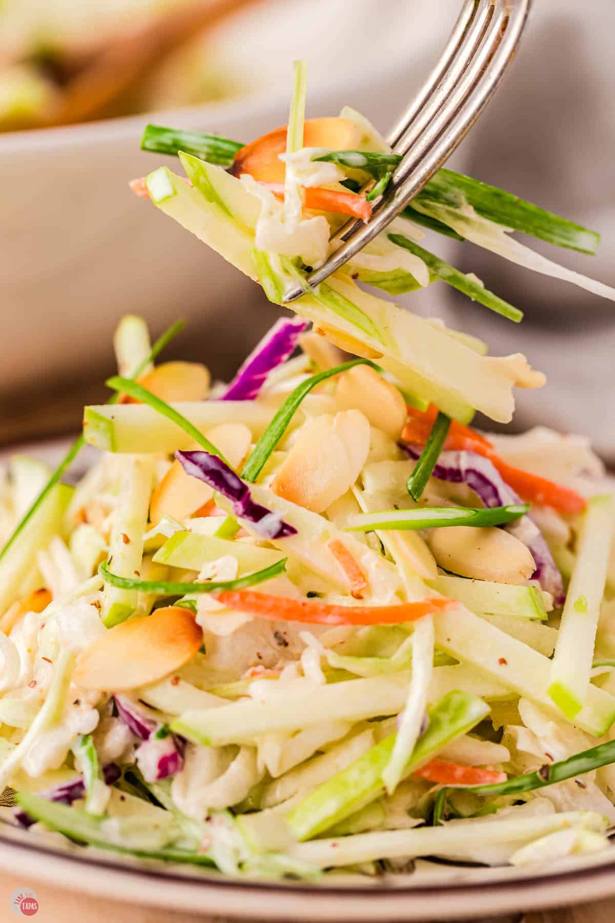 fork with bite of shredded cabbage and apple