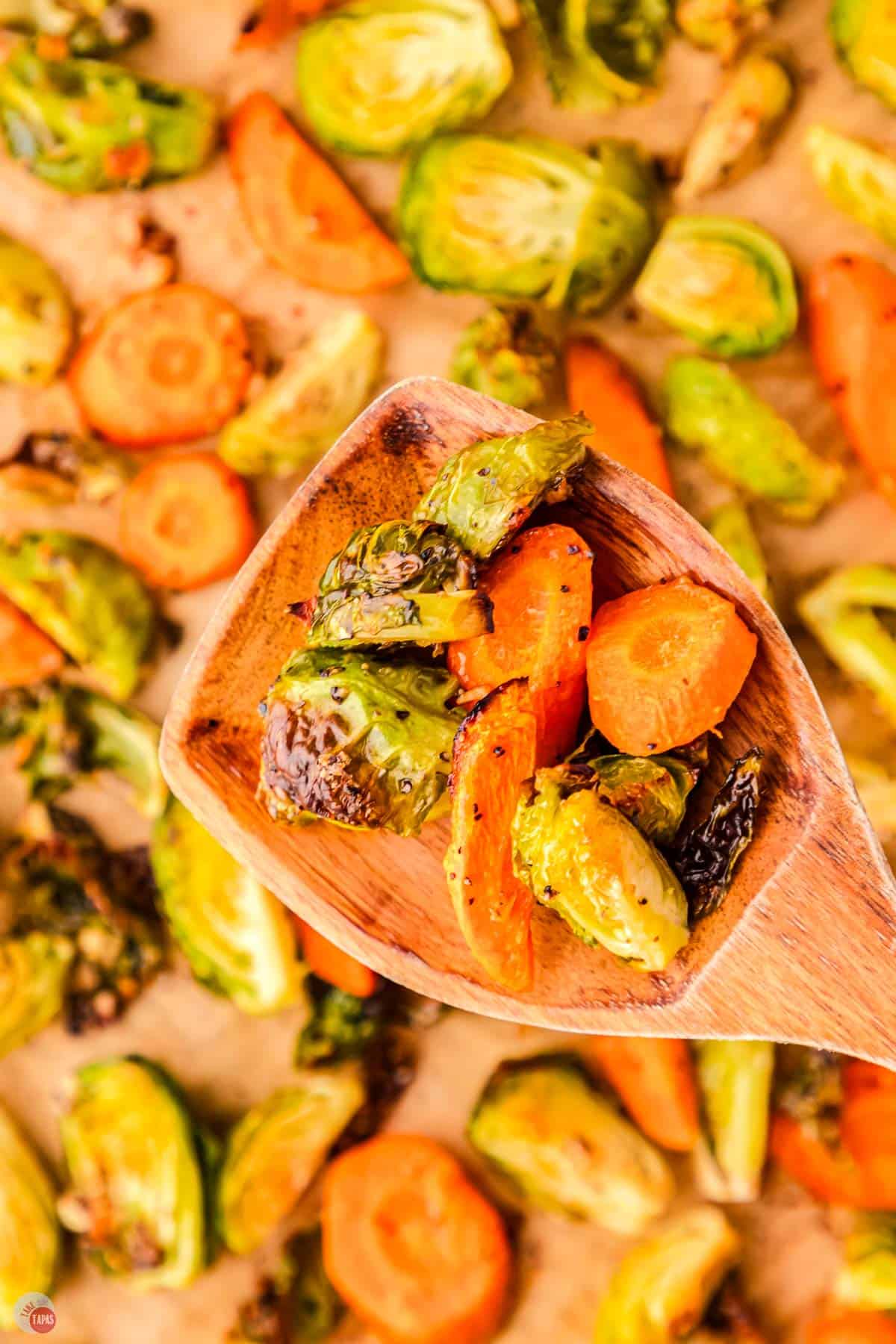 wood spoon of carrots and sprouts