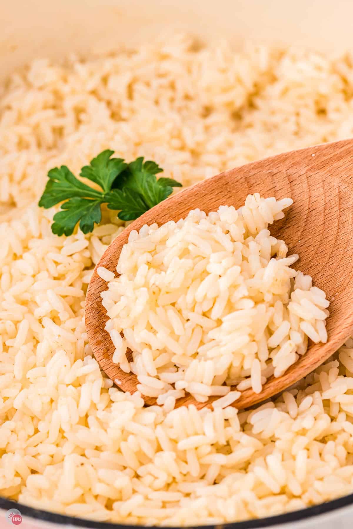 close up of wood spoon in a pot of white rice