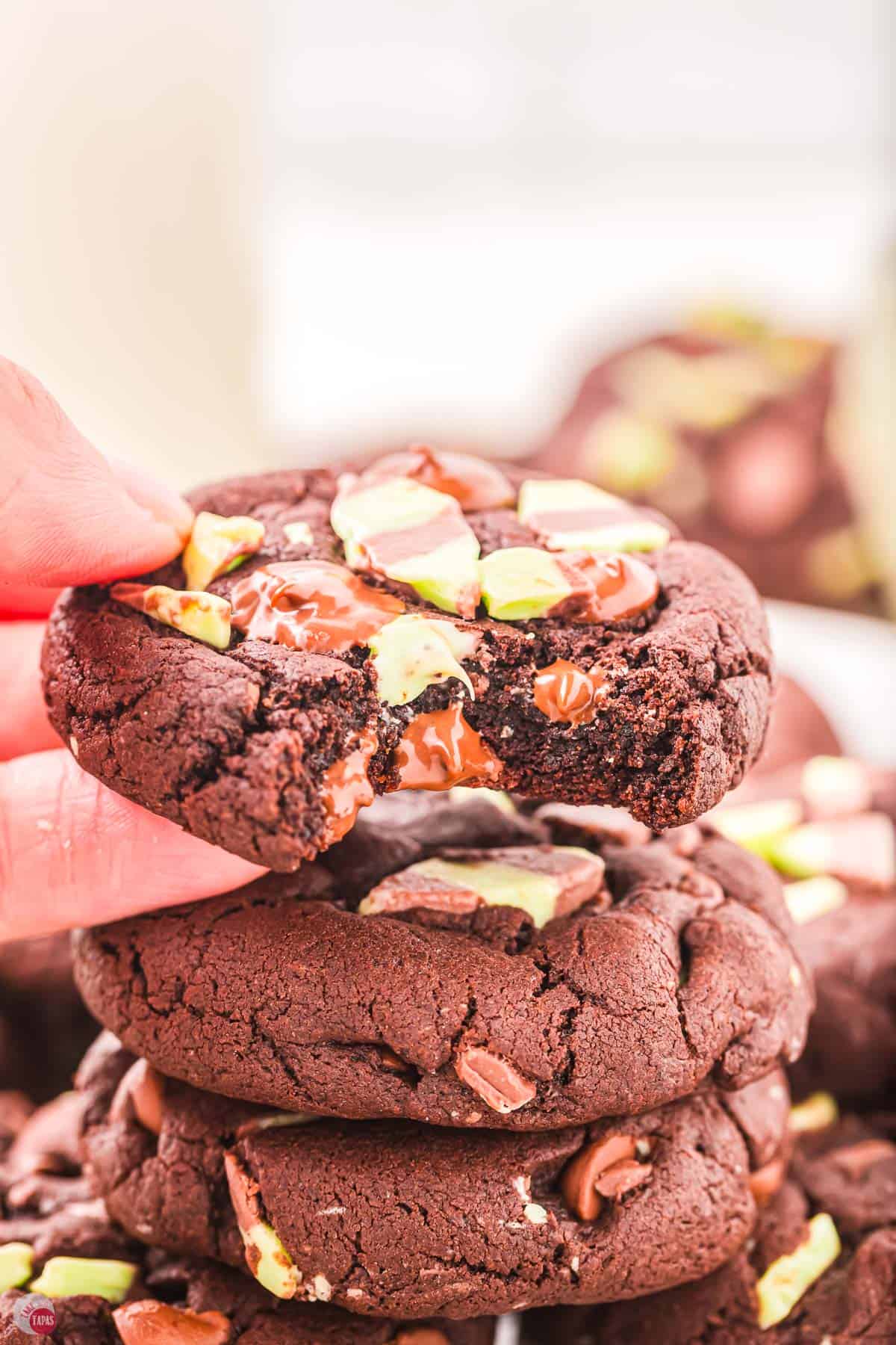 hand holding a cookie with a bite out of it