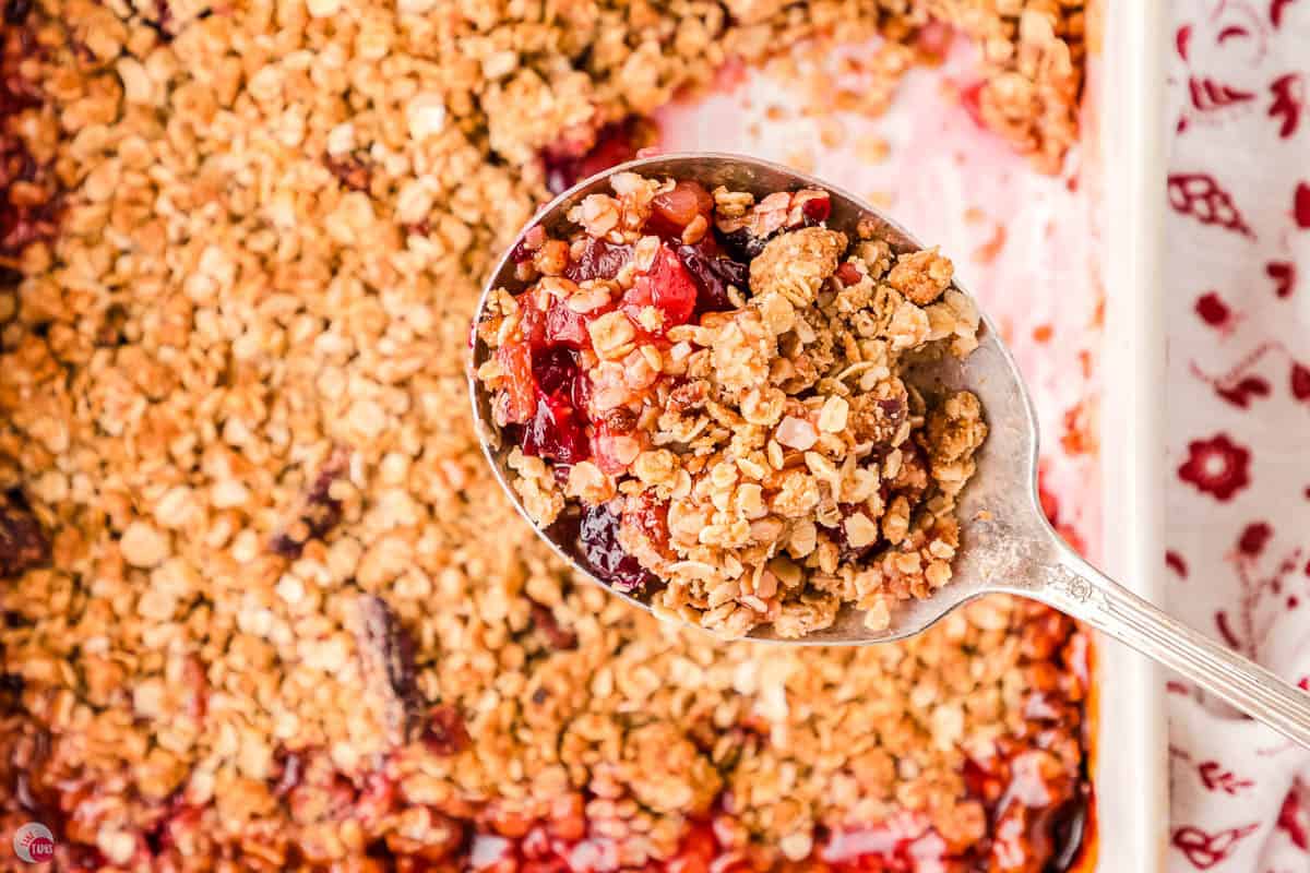 close up of spoon with oatmeal and cranberries in it