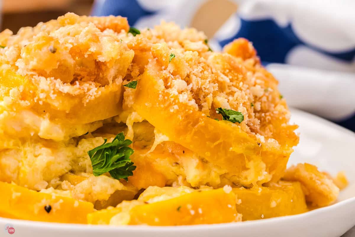 close up of squash on a white plate