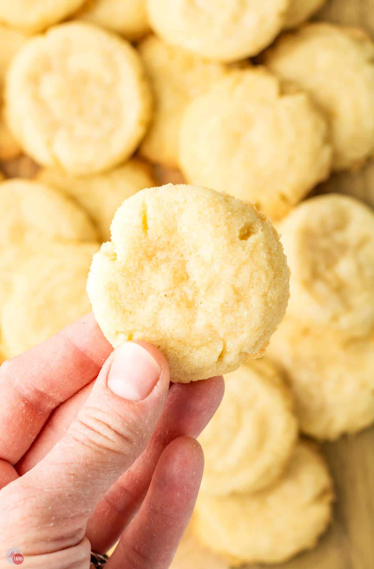 hand holding a sugar cookie