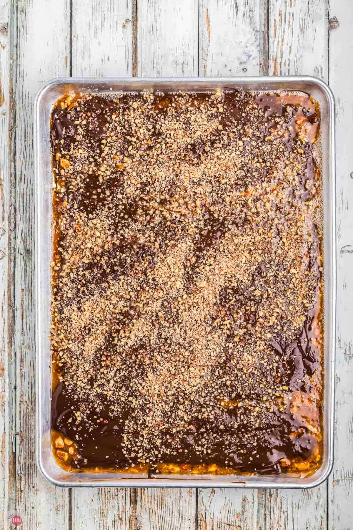 toffee with chocolate on top and sprinkled with chopped pecans