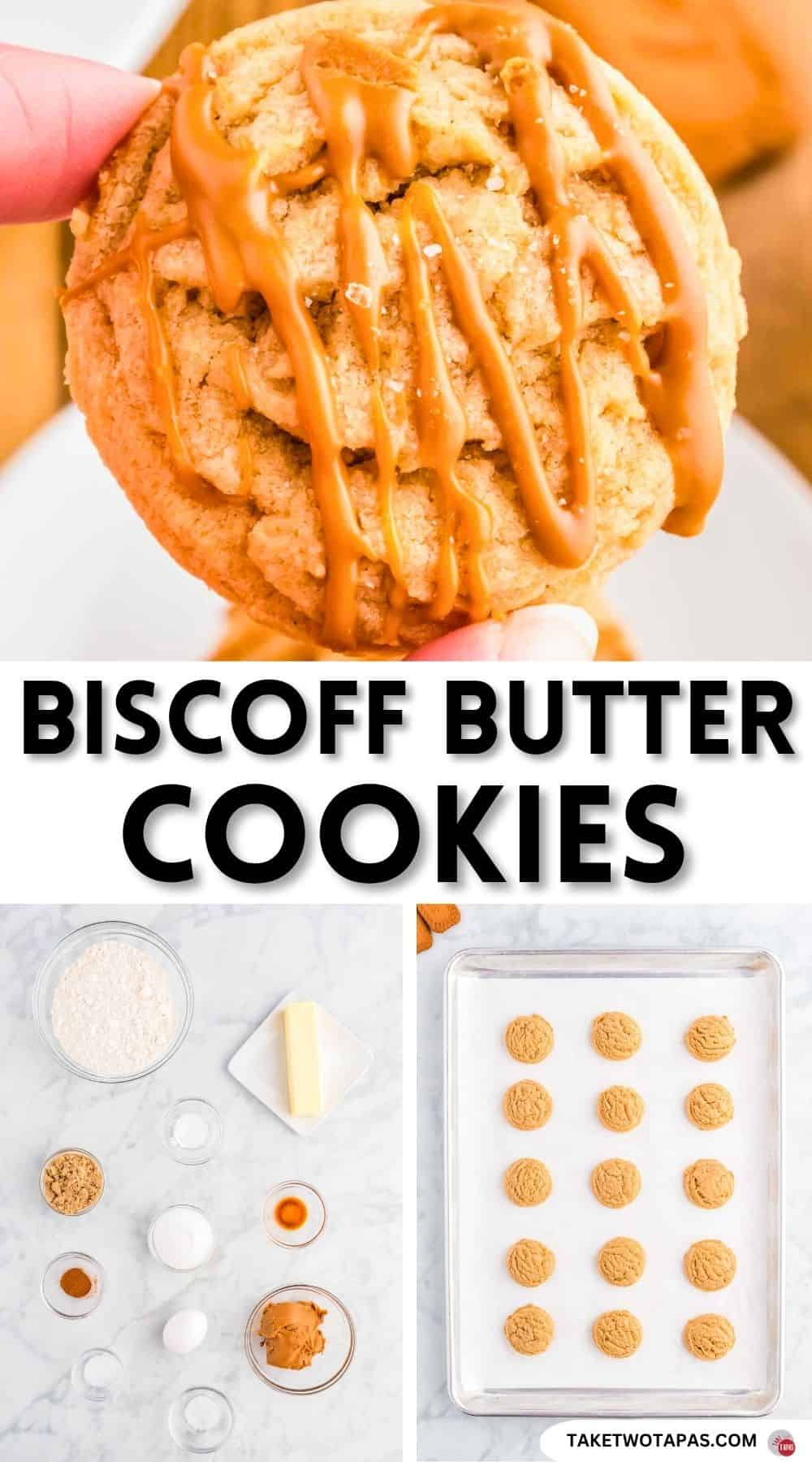 Pinterest pin image for biscoff butter cookie recipe