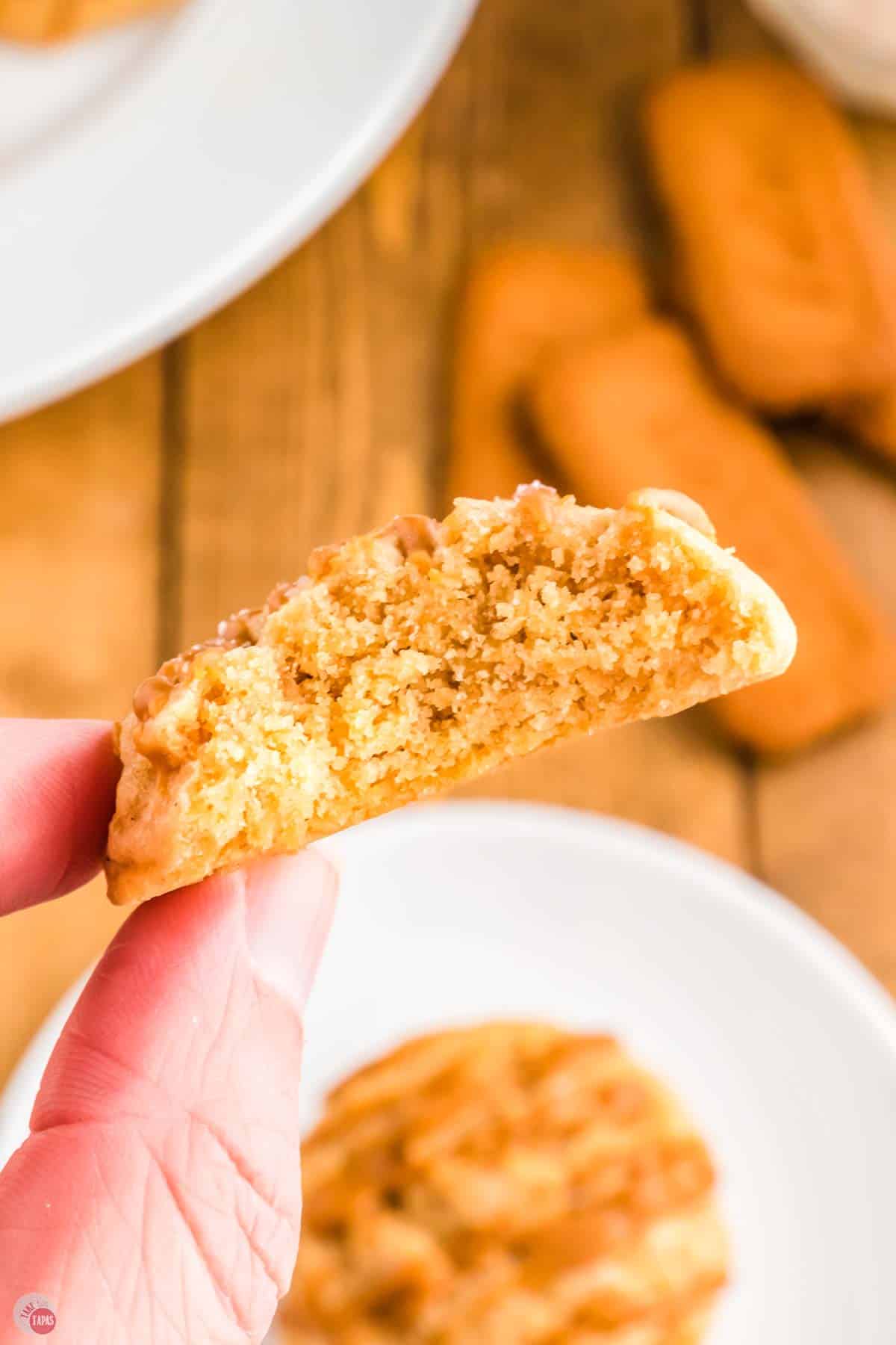 hand holding a cookie with a bite taken out of it