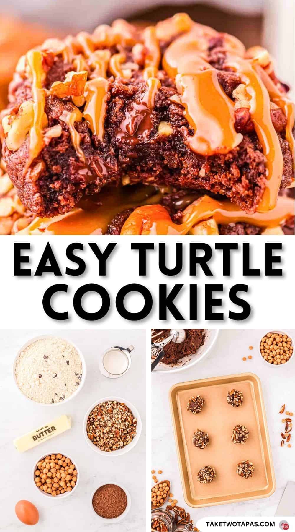 Pinterest pin image for turtle cookie recipe