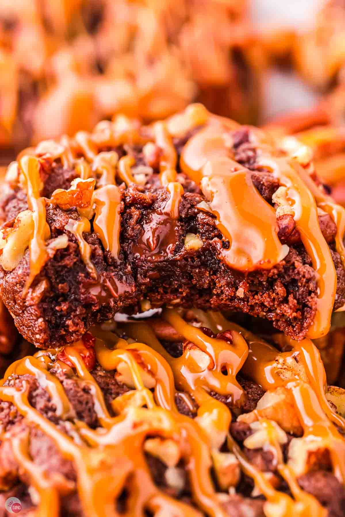 close of up turtle cookie with bit taken out of it