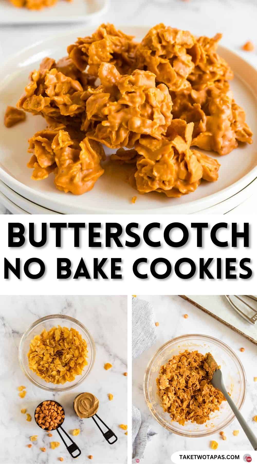 Pinterest pin image for butterscotch no bake cookie recipe