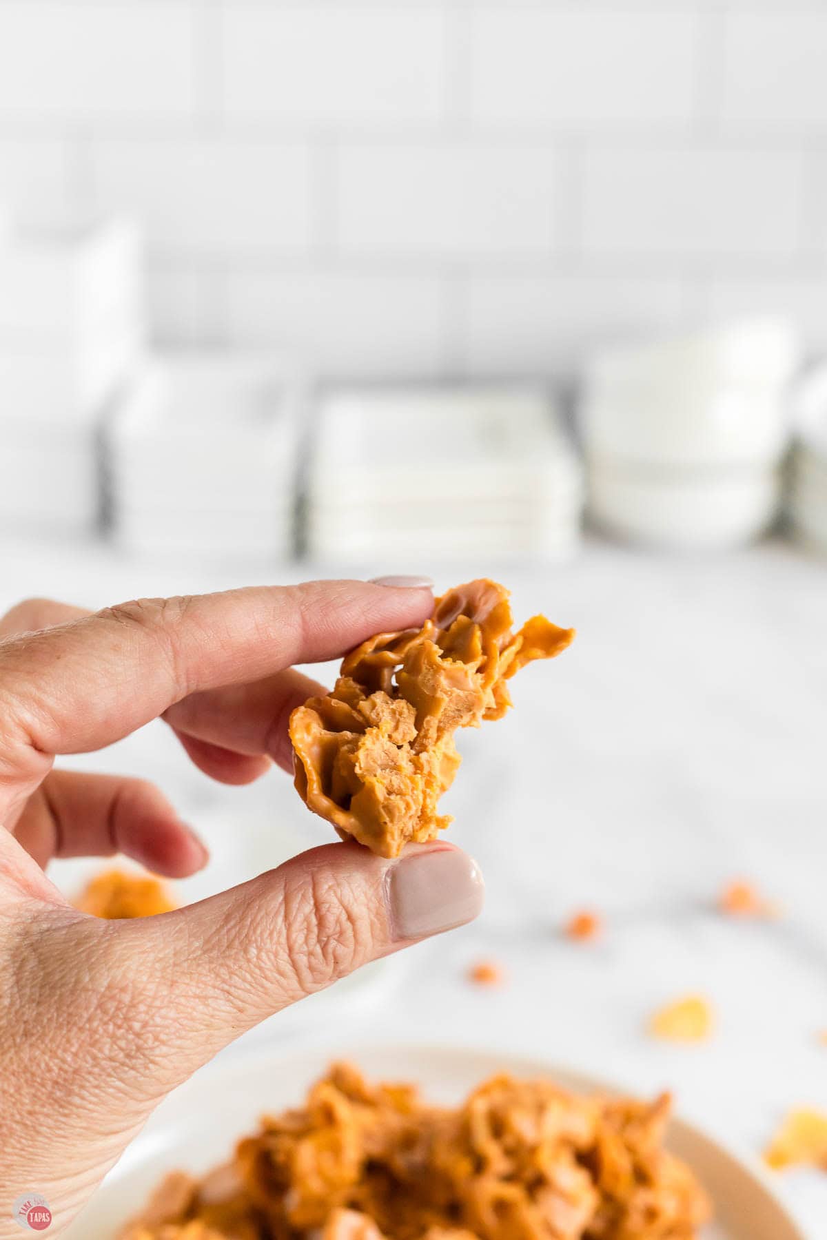 hand holding a butterscotch cookie with a bite missing