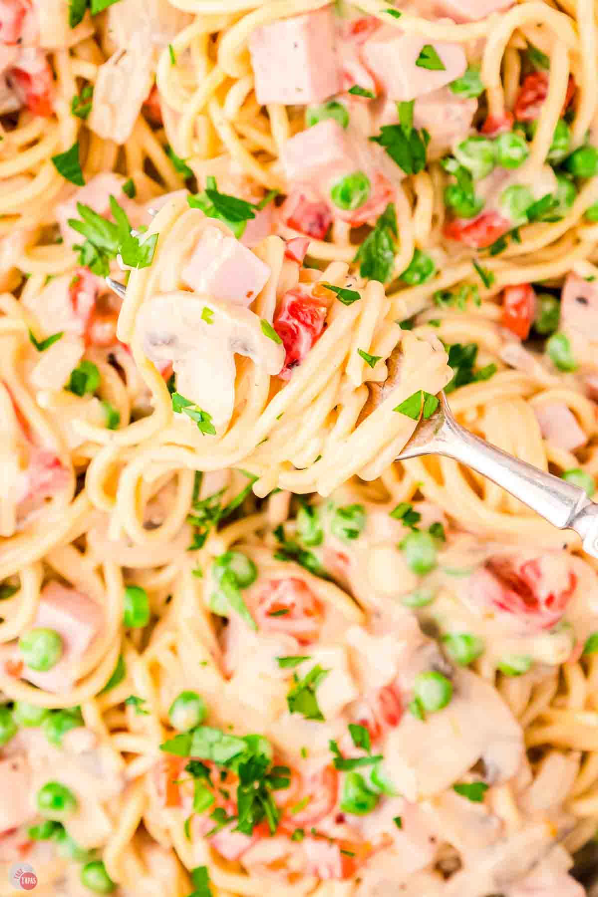 close up of creamy spaghetti with ham and peas
