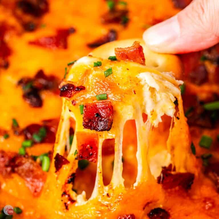 hand with cracker and chicken dip