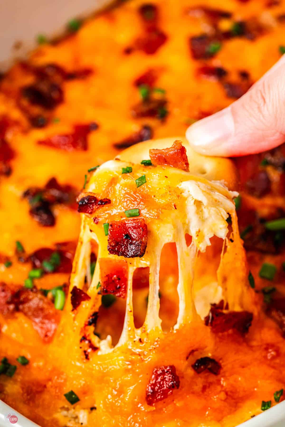 hand holding a cracker with cheesy dip on it