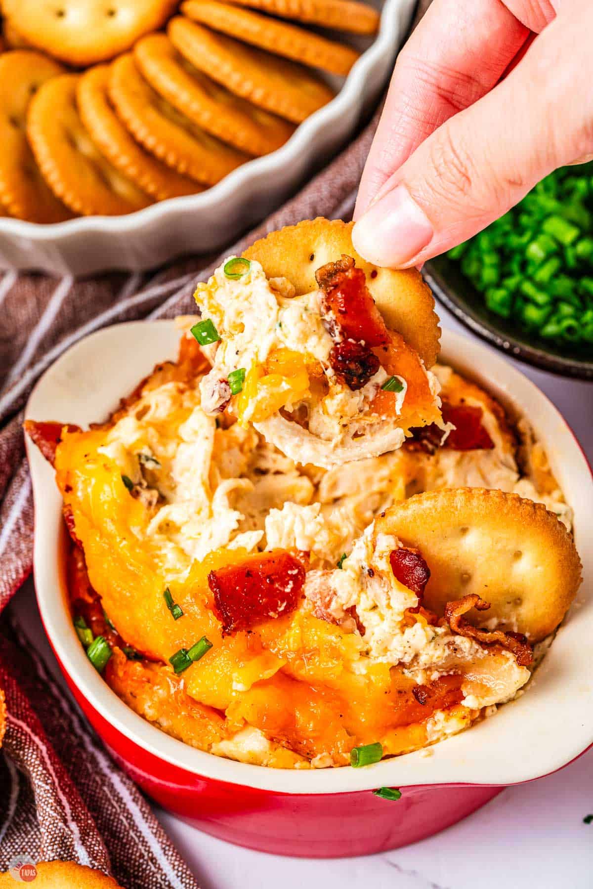 hand with cracker and dip over a red bowl