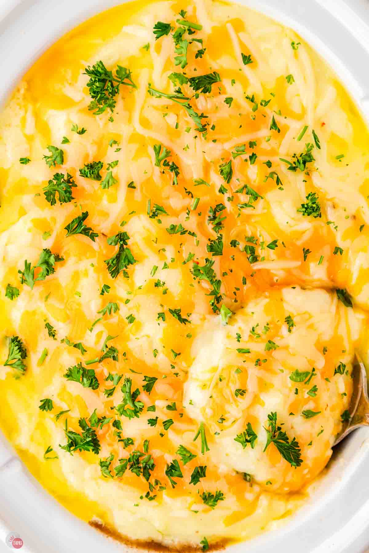 close up of cheesy mashed potatoes with parsley
