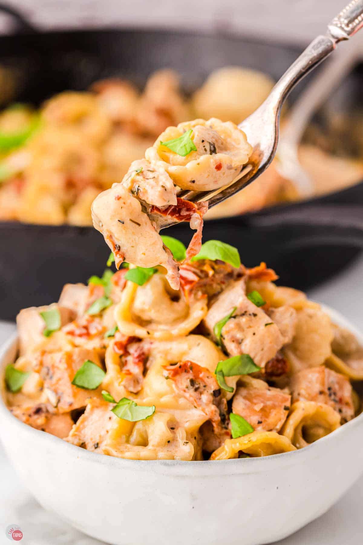 bowl of chicken with a fork hovering above it