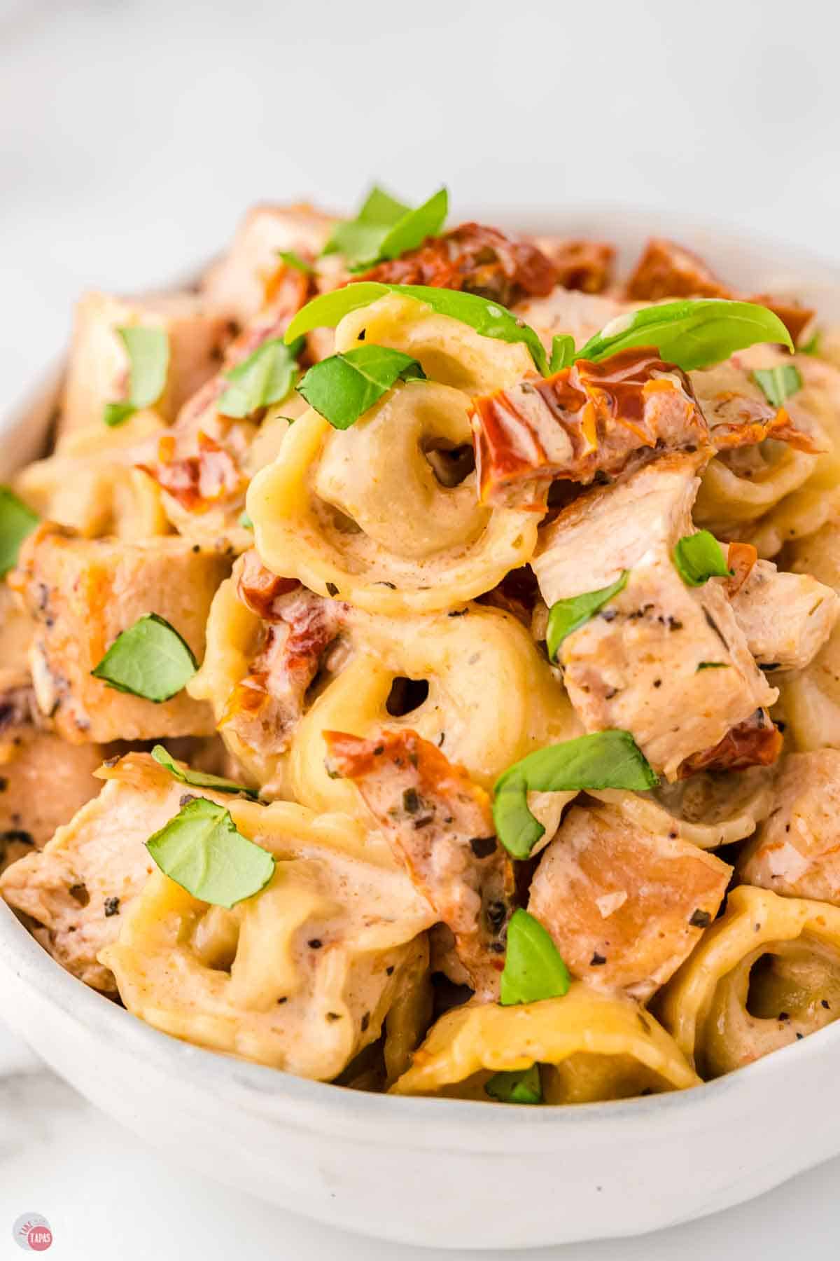 close up of chicken and pasta