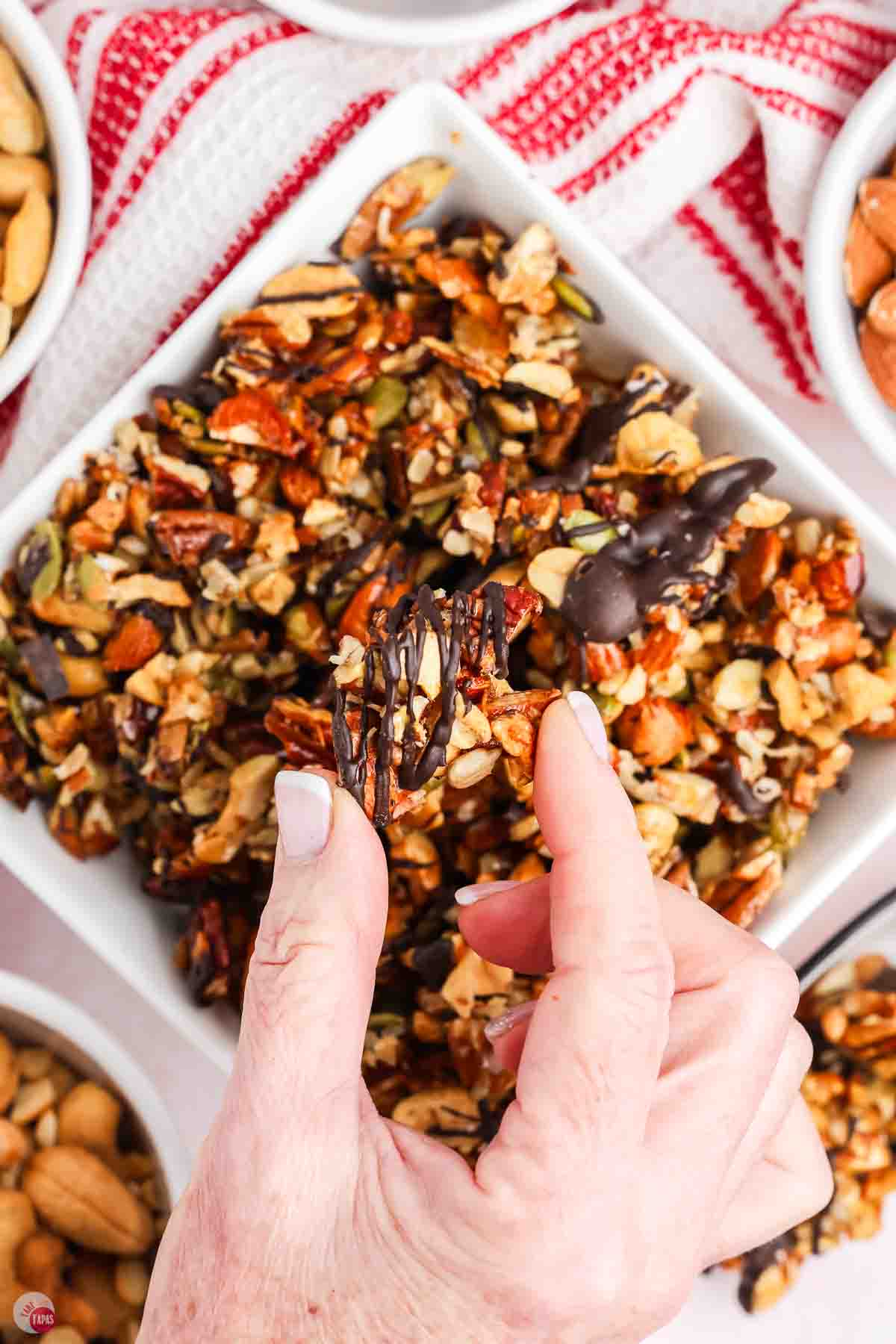two fingers holding a cluster of toasted seeds with chocolate