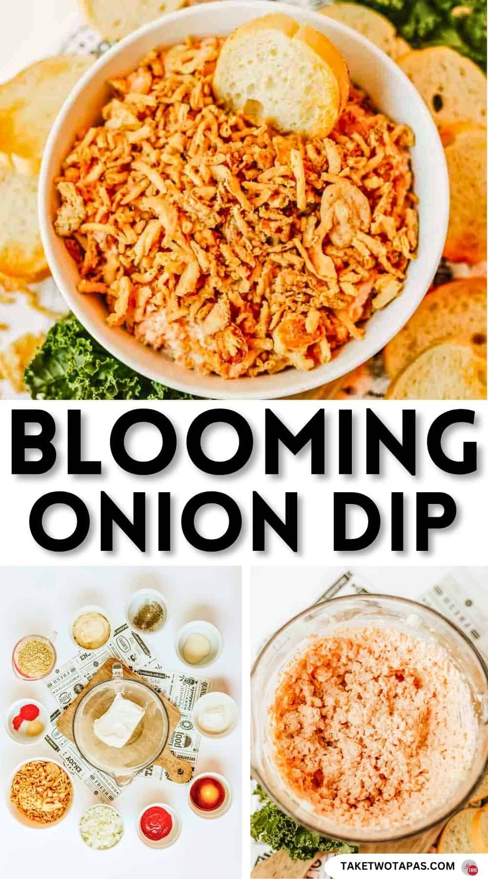 Pinterest pin image for a blooming onion dip recipe
