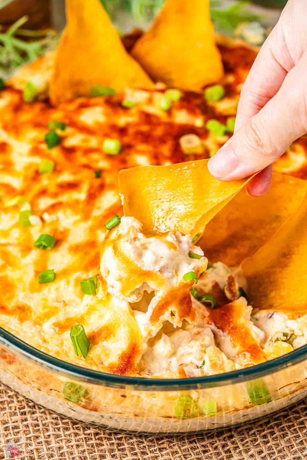 close up of wonton chip scooping dip out of a clear bowl