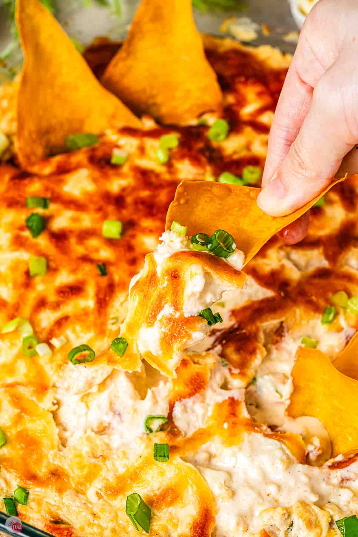 close up of cheesy dip with chips and sliced green onions