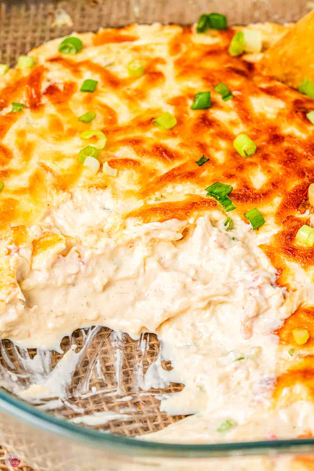 close up of creamy, cheesy, appetizer