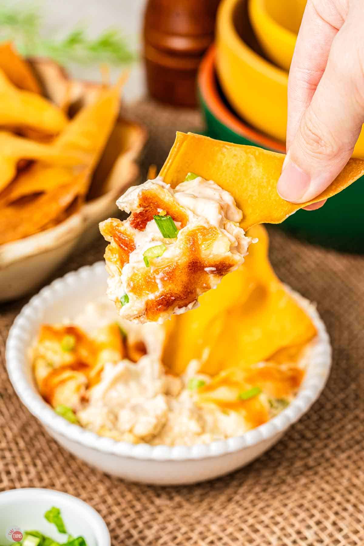 crab dip on a wonton chip