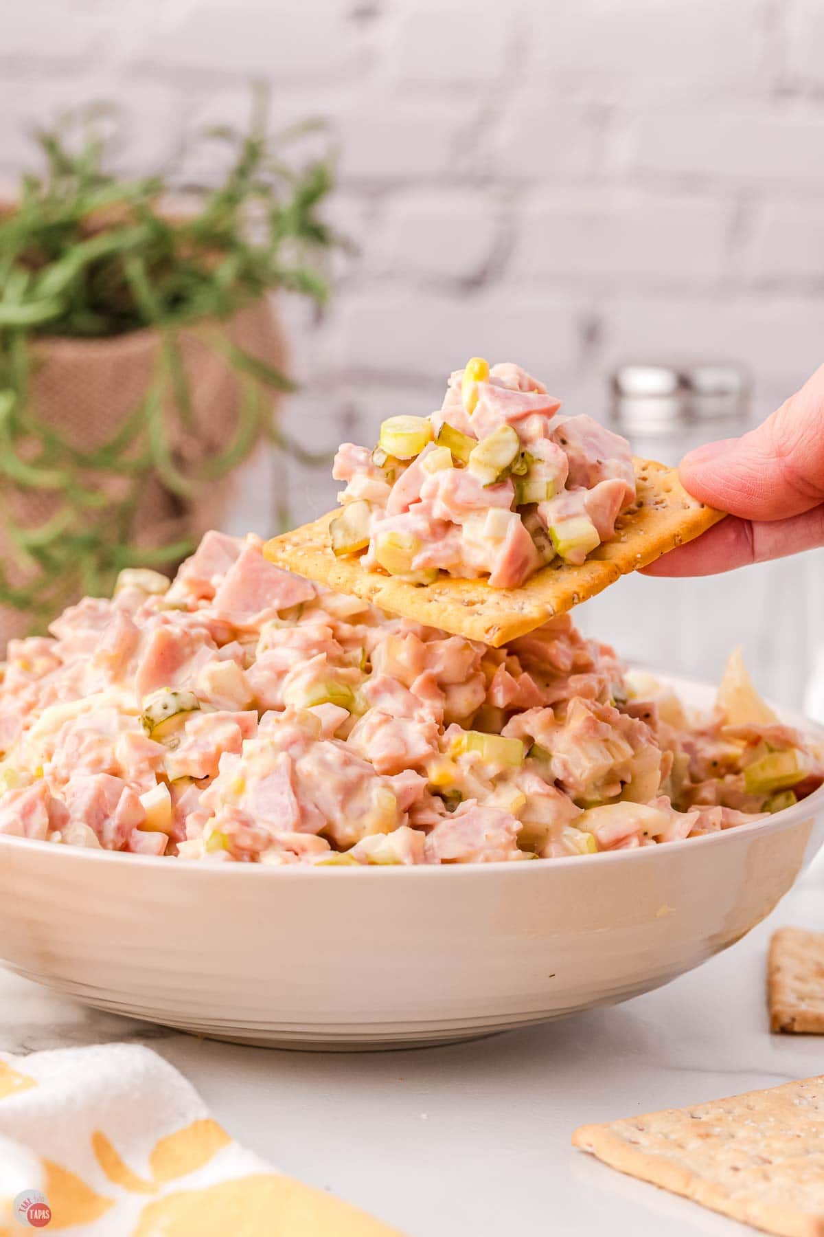 bowl of ham salad with a hand holding a cracker with some on it
