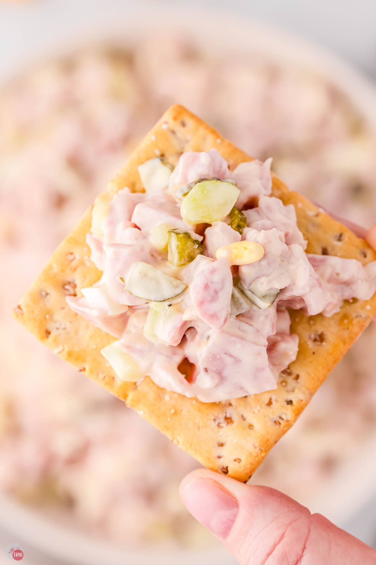 hand holding a cracker topped with diced ham, onion, and pickles