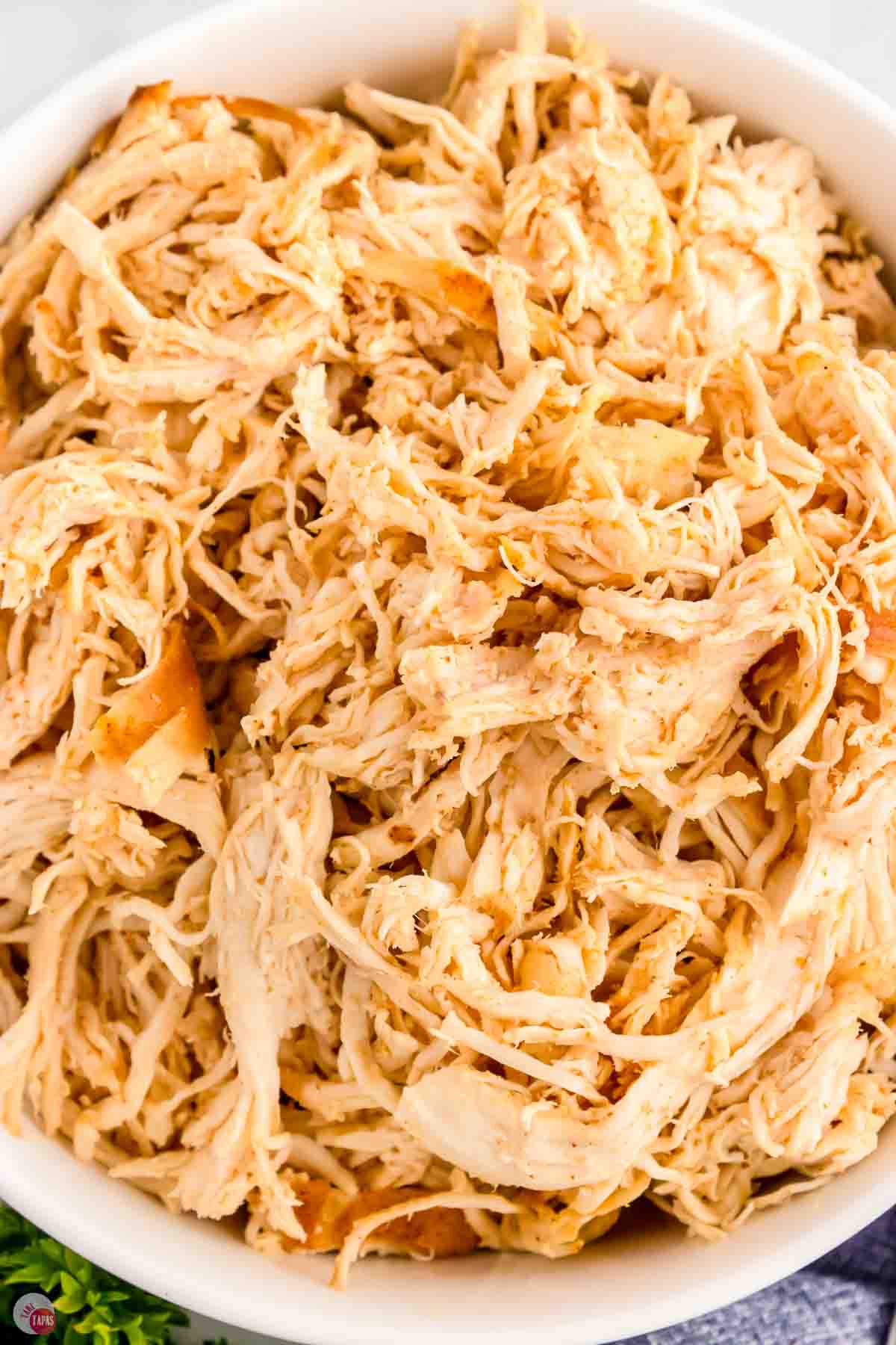 close up of shredded chicken meat