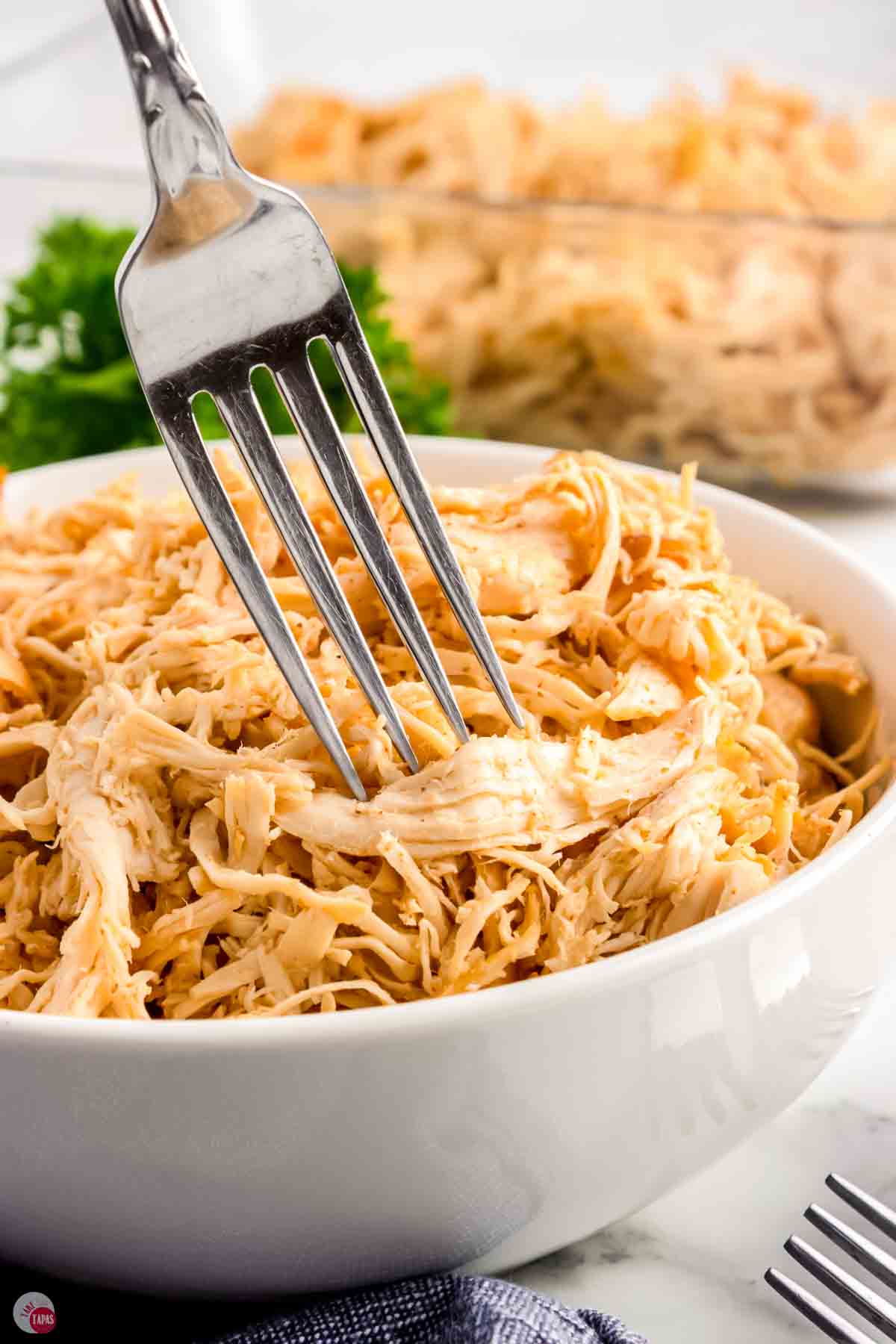 fork poking in a white bowl of chicken meat
