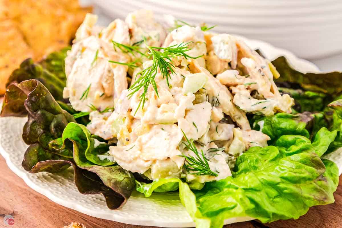 close up of chicken salad and lettuce