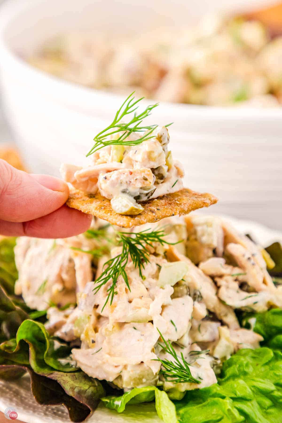 hand holding a cracker with chicken salad