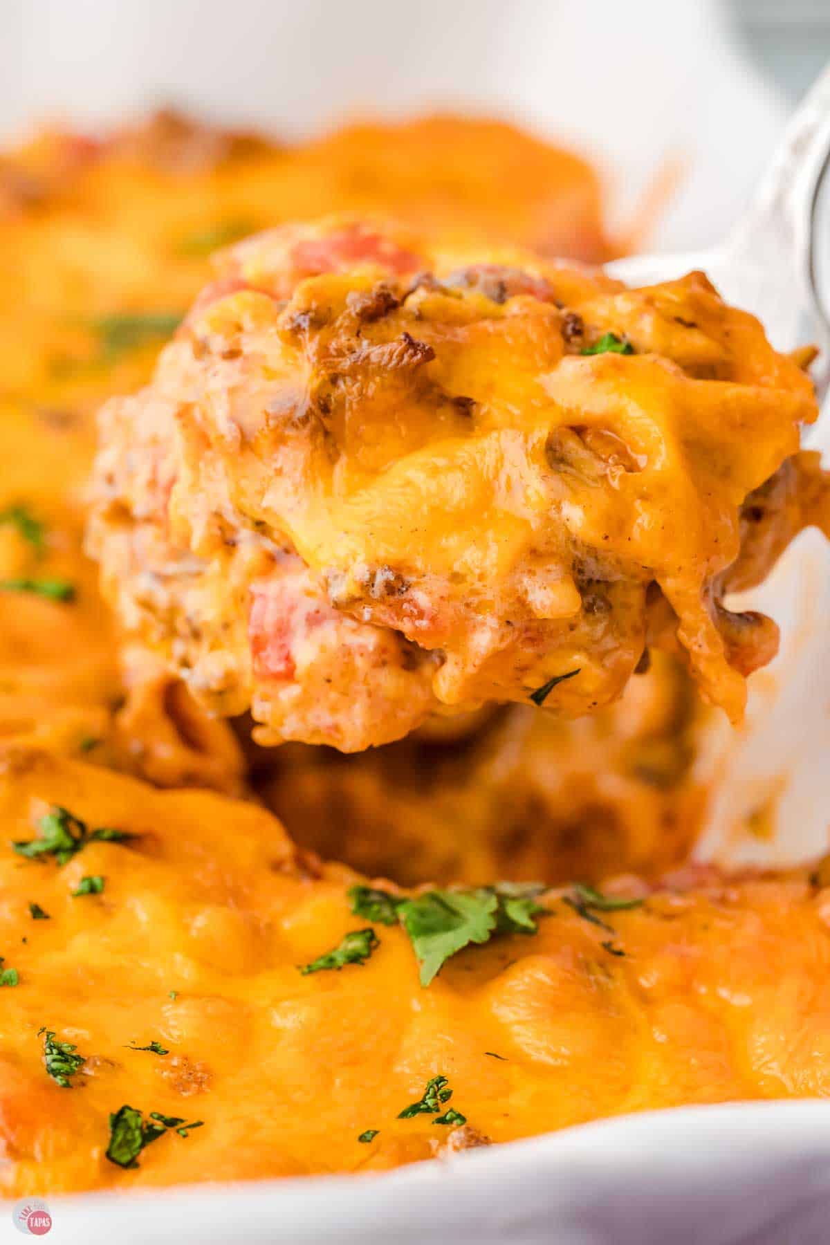 close up of silver spoon with casserole in it