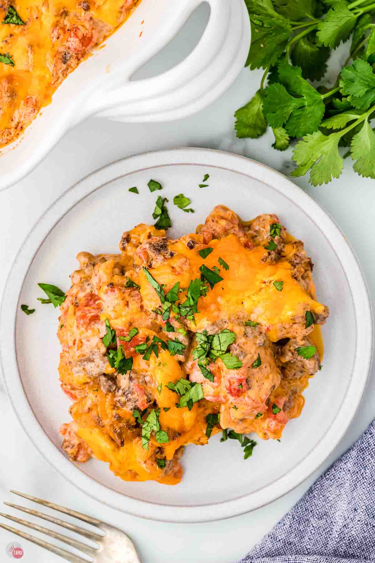 overhead picture of plate with Mexican recipe on it