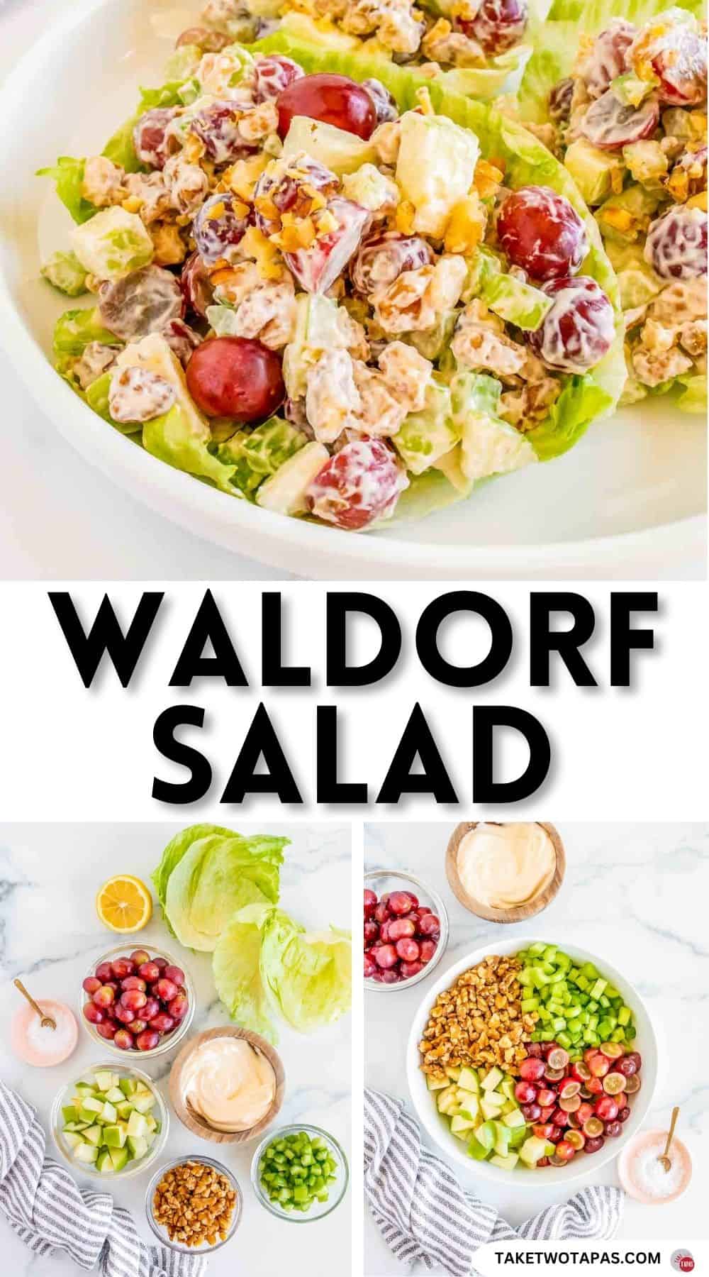 Pinterest pin image for waldorf salad recipe
