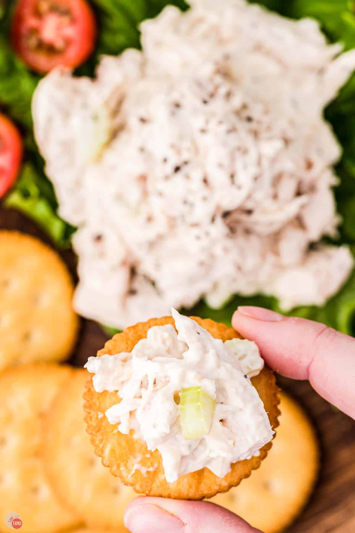 hand holding a cracker with spread on it